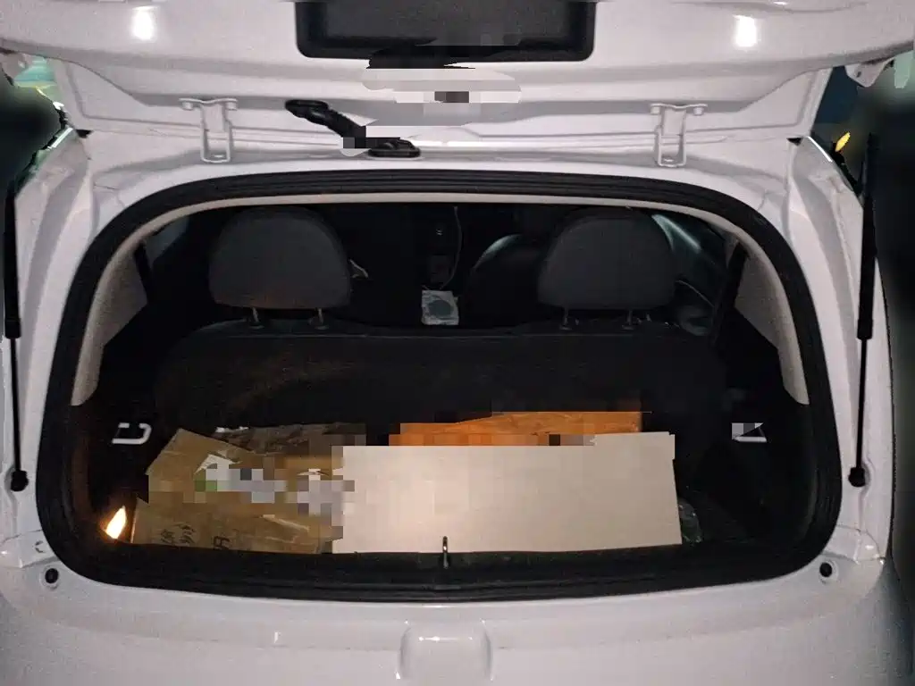 Ora White Cat 2021 2020 401km Flagship Model