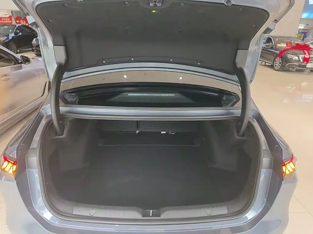 Aion RT 2025 2025 520 Intelligent Luxury Edition