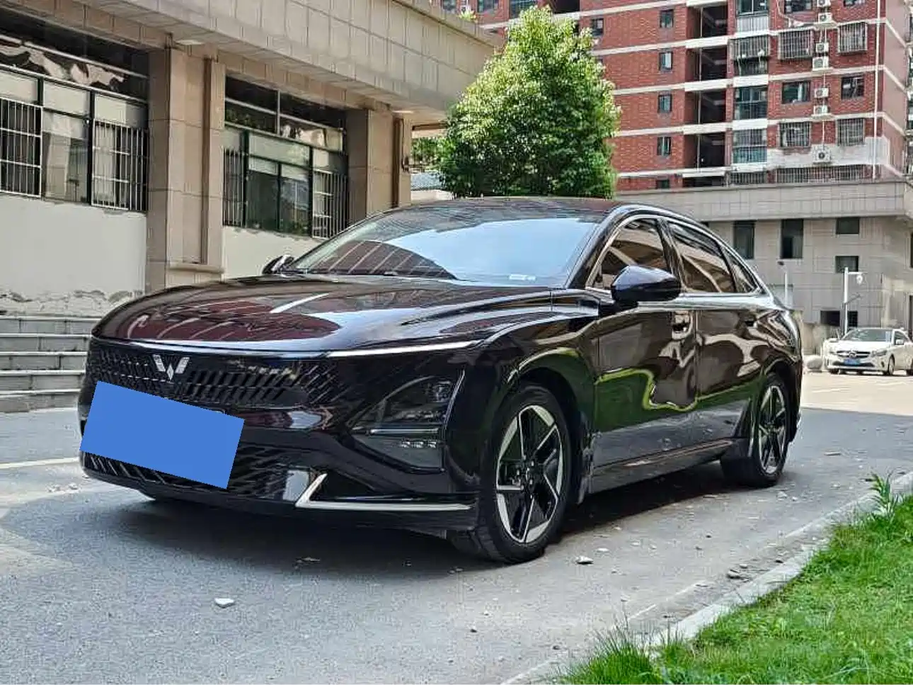 Wuling Motors Wuling Xingguang 2024 2023 150 Advanced Edition