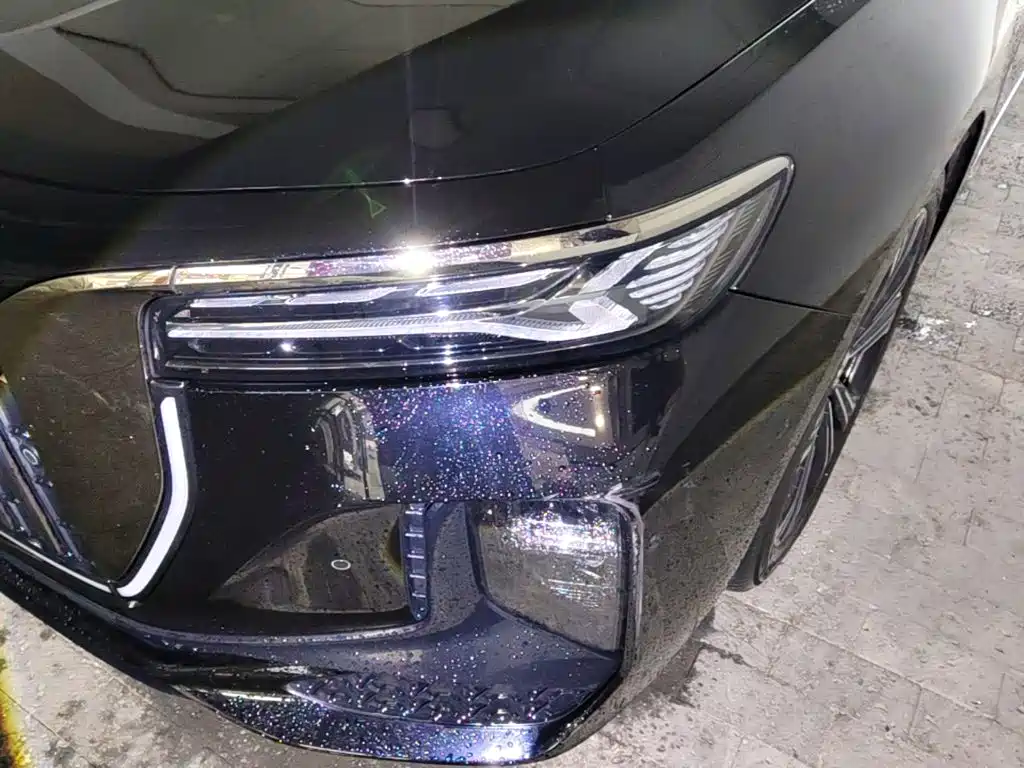 Photo 24 - Hongqi H9