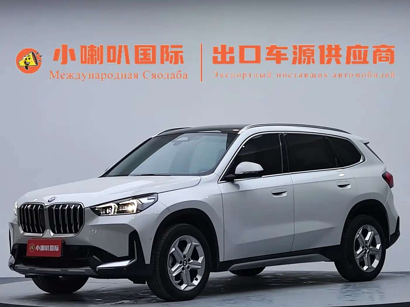 BMW X1 2024 2023 sDrive20Li X Design Package