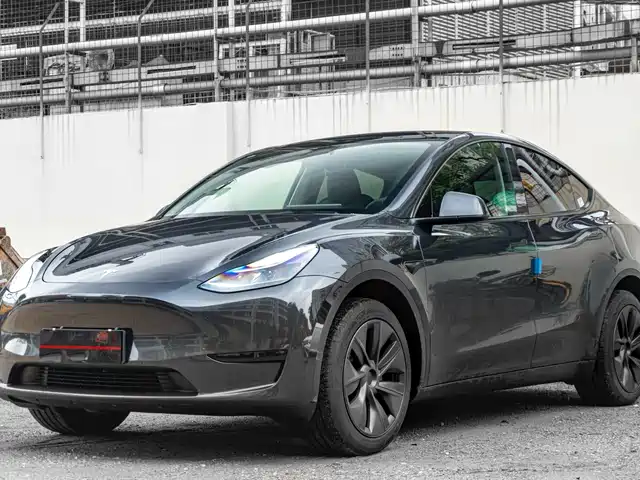 Tesla Model Y Задний привод