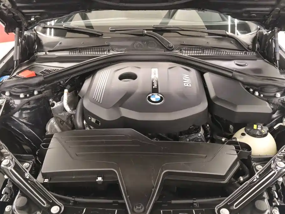 BMW 2 Series (Import) 2015 218i Convertible Coupe фото 21