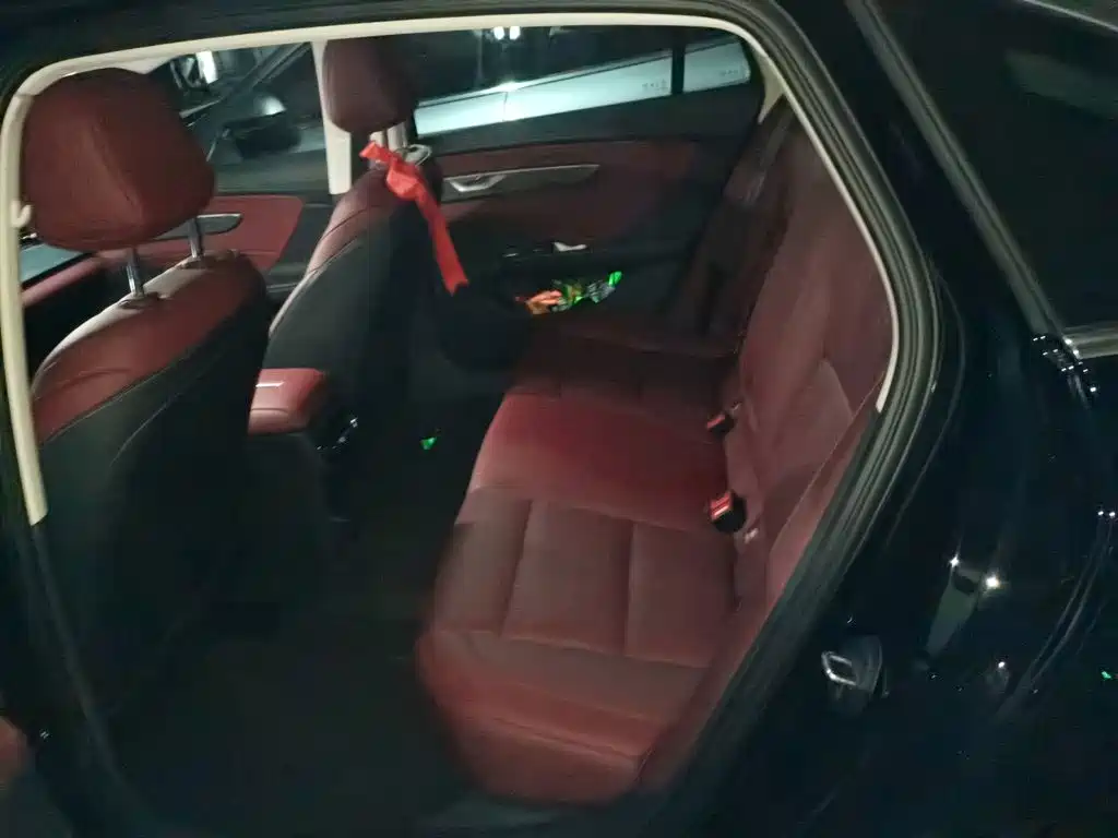 Фото 18 - Hongqi H5