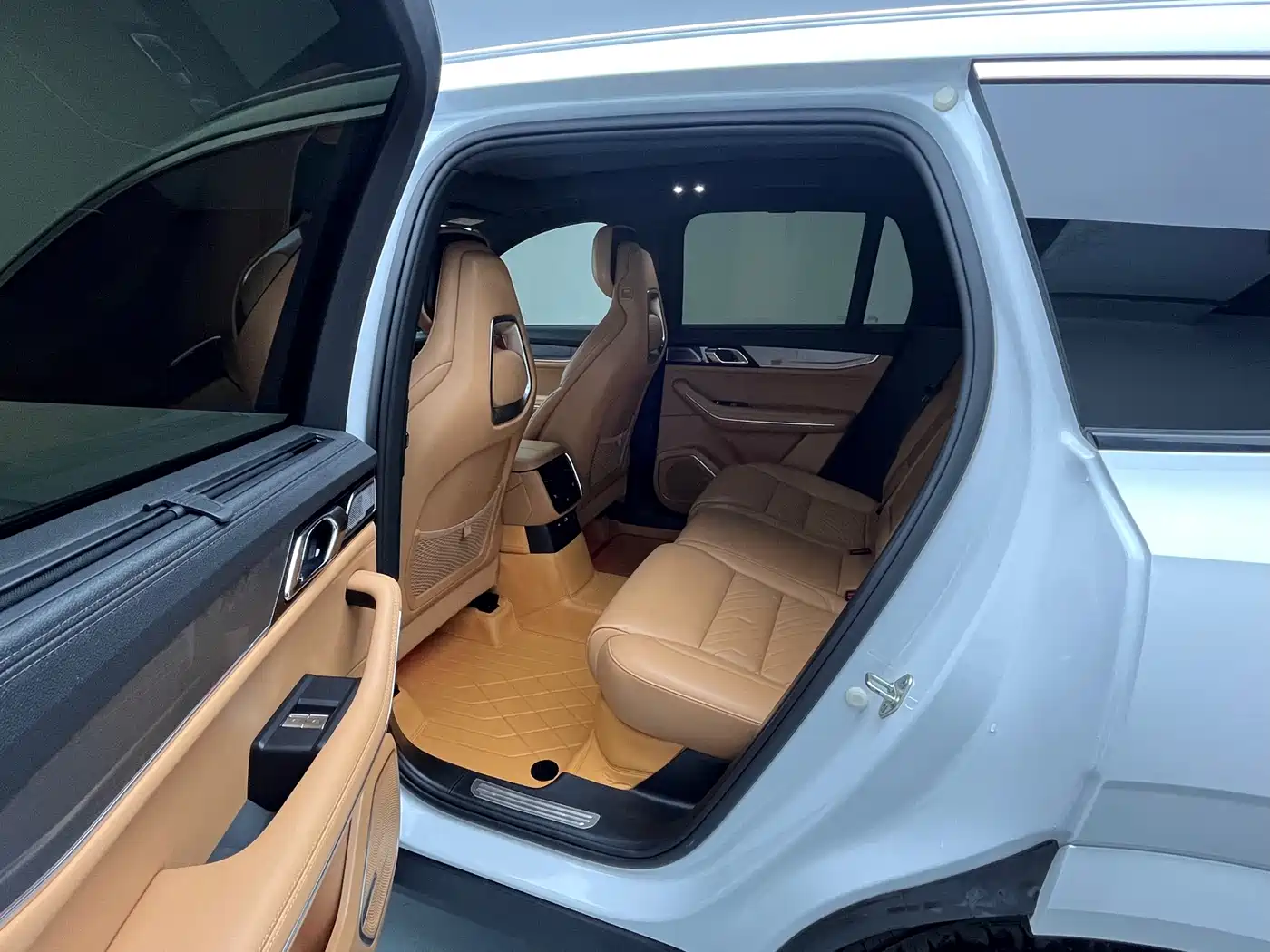 Lynk & Co 09 EM-P 2023 2.0TD EM-P AWD Asian Games Executive Edition 5-Seater фото 14