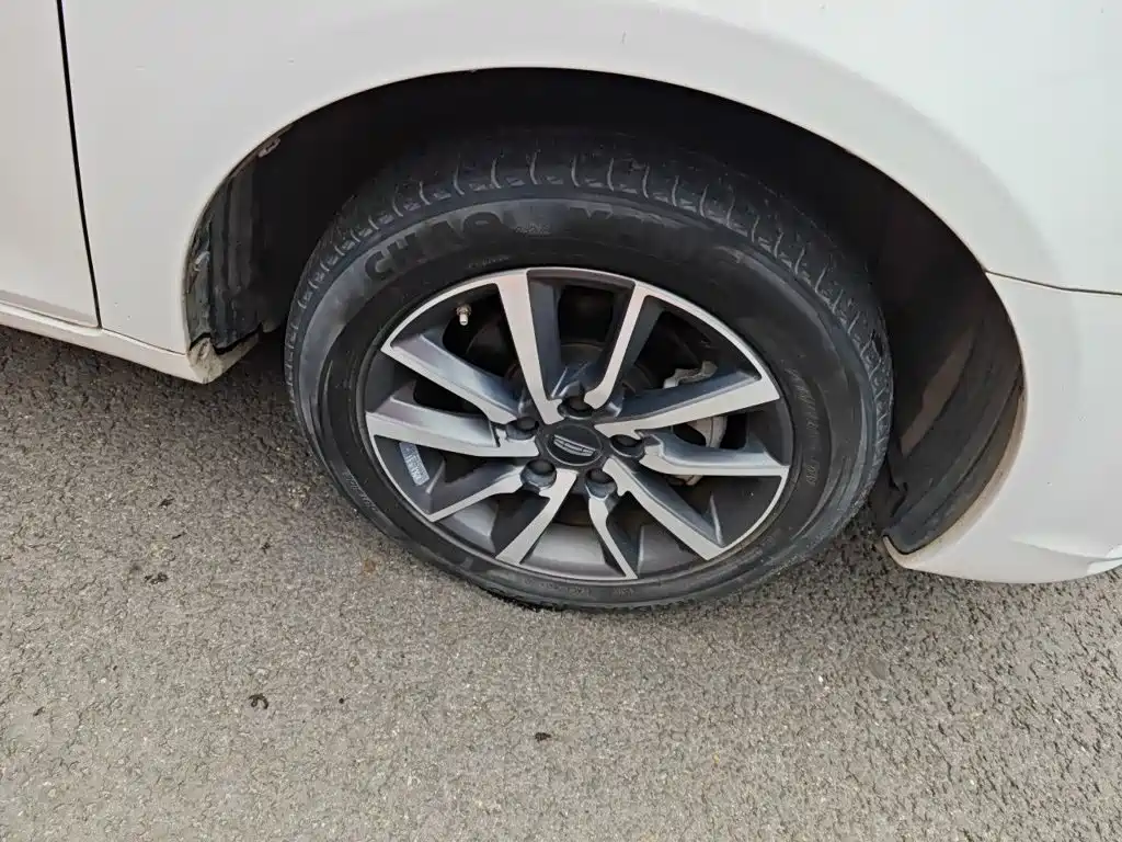 Фото 8 - Geely Emgrand