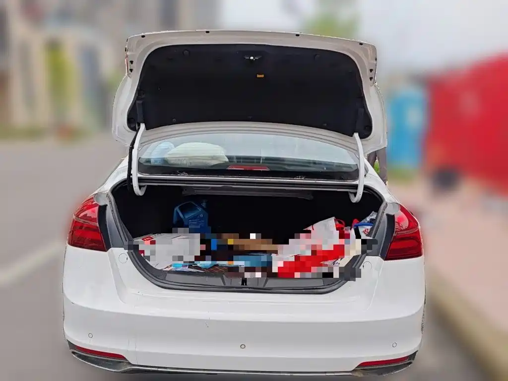 Фото 20 - Geely Emgrand