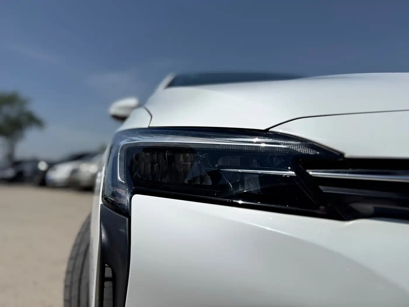 BUICK SLIGHTLY BLUE 6