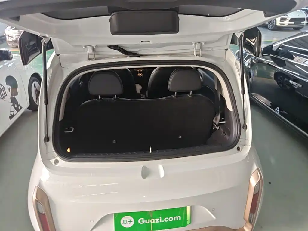 Ora White Cat 2021 2020 360km Luxury Model