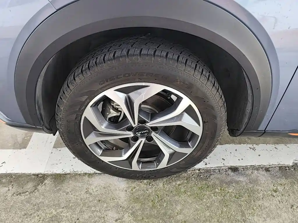 Haval Shenshou 2022 2022 1.5T Smart Enjoyment Edition