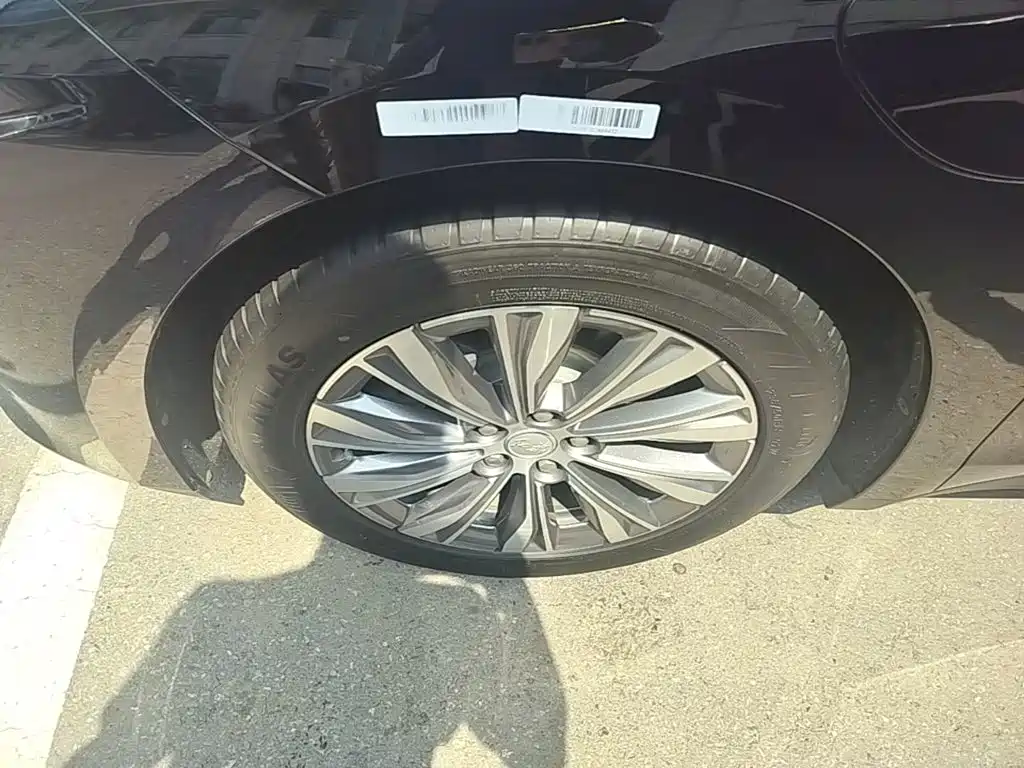 Hongqi E-QM5 2025 2024 500km Travel Edition