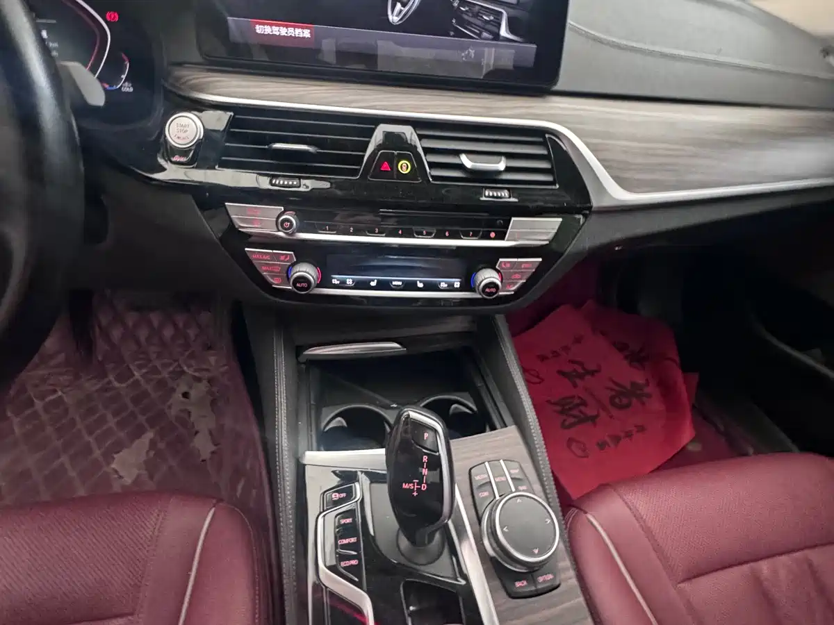 BMW 5 Series 2021 530Li Leading M Sport Package фото 12