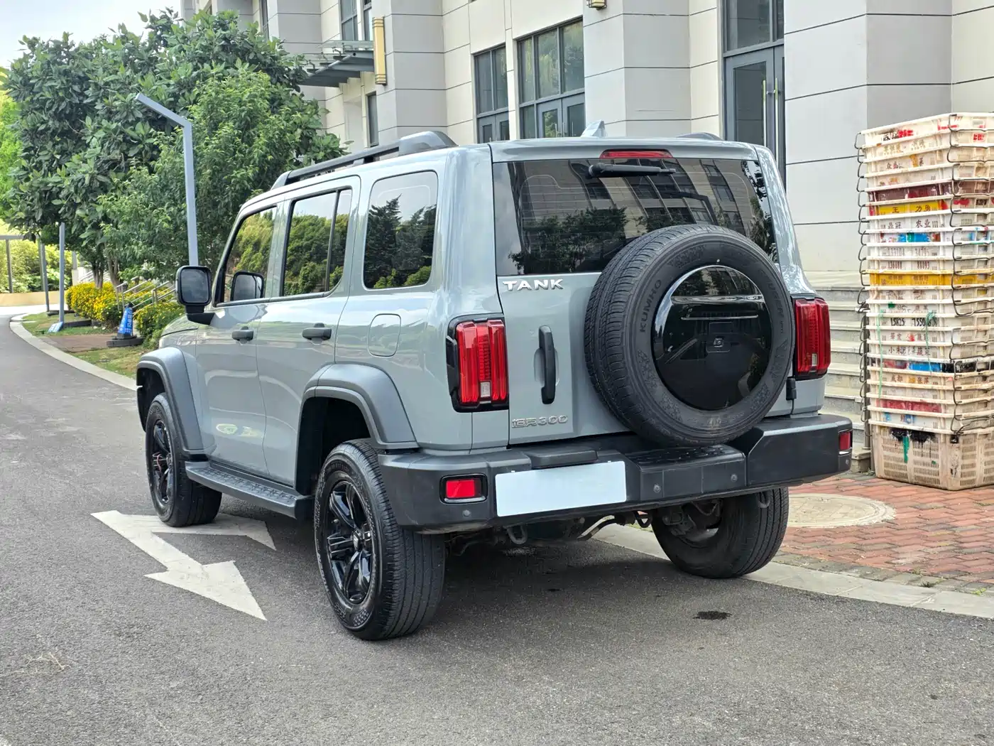 Tank 300 2023 Off-Road Edition 2.0T Conqueror фото 6