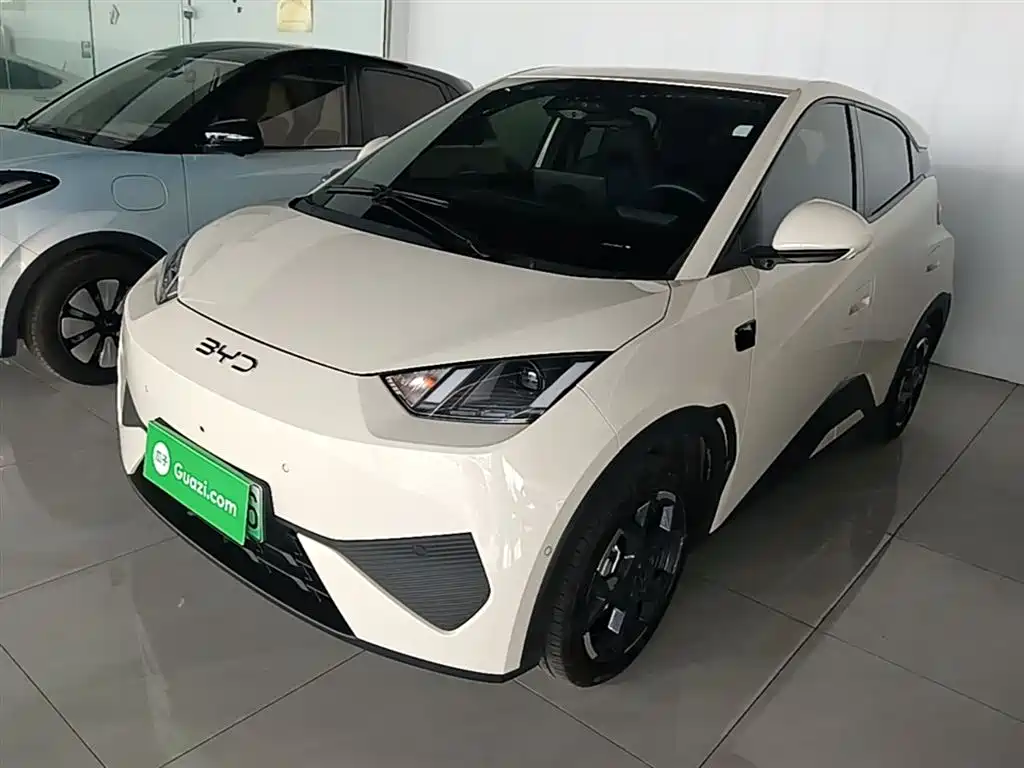 BYD Seagull 2025 Smart Drive Edition 305km Freedom Version