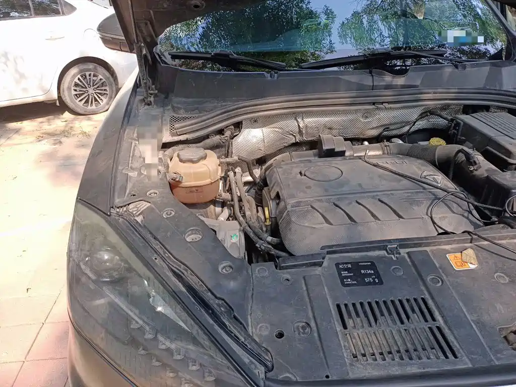 Borgward BX7 2019 2018 2.0T TS AWD Luxury (China V)