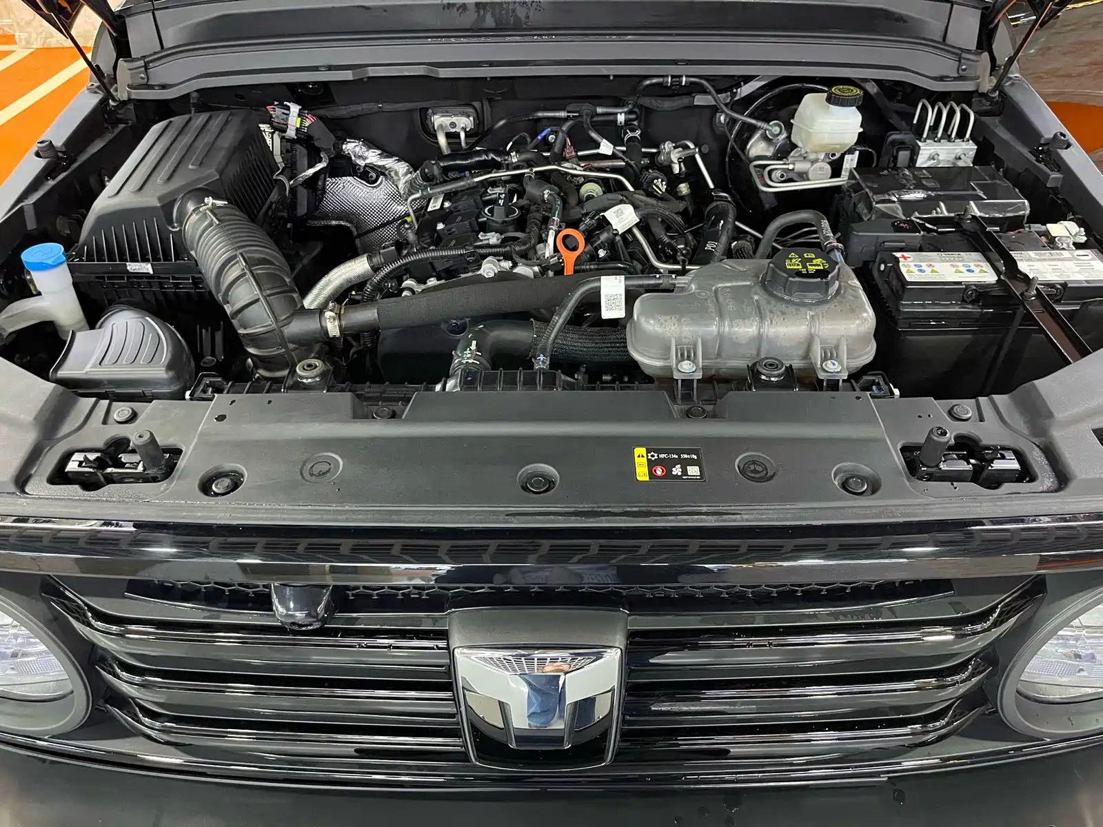 Photo 13 - Tank 300