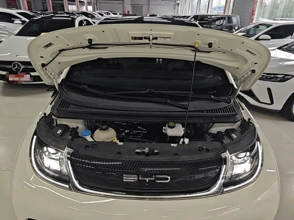 Photo 20 - BYD Dolphin