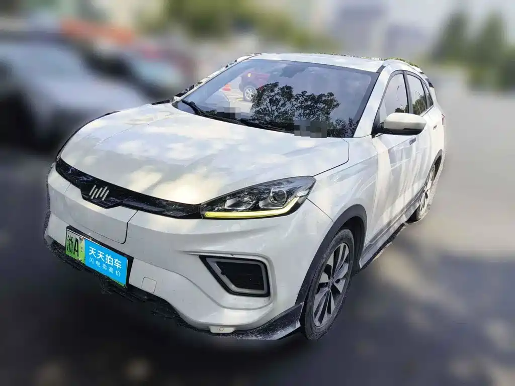 Weltmeister EX5 2020 2020 EX5-Z Fun Dynamic Edition