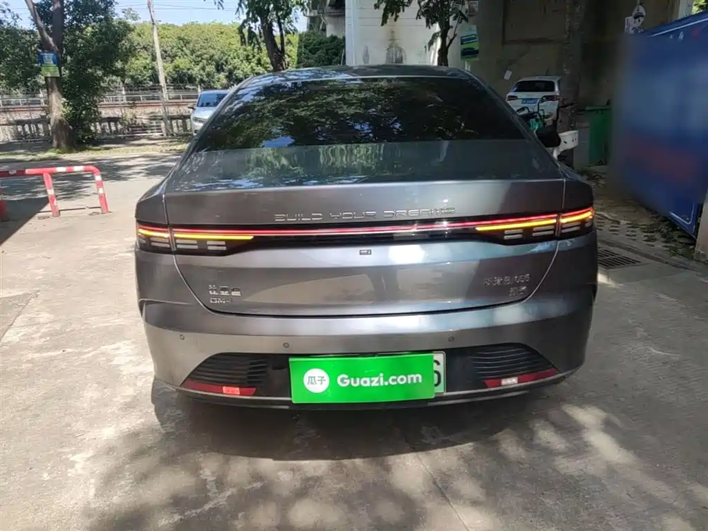 BYD Destroyer 05 2024 Glory Edition DM-i 55KM Luxury фото 6