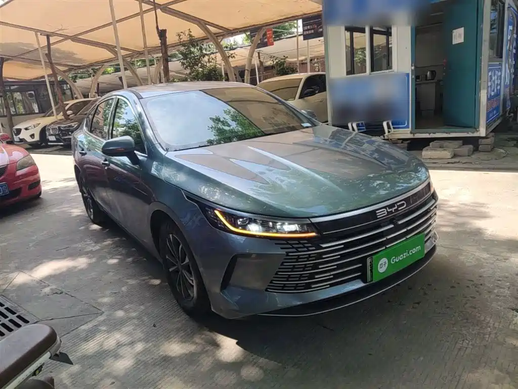 BYD Destroyer 05 2024 Glory Edition DM-i 55KM Luxury фото 4