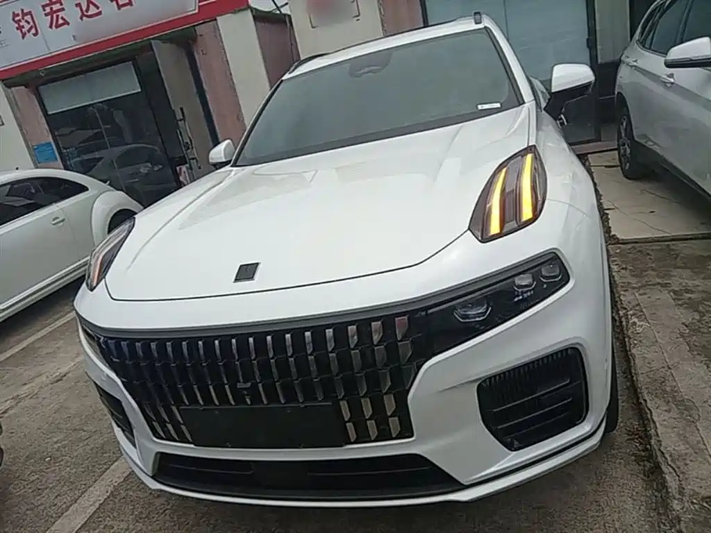 Lynk & Co 09 EM-P 2023 2.0TD EM-P Voyage PM 7-Seater фото 3