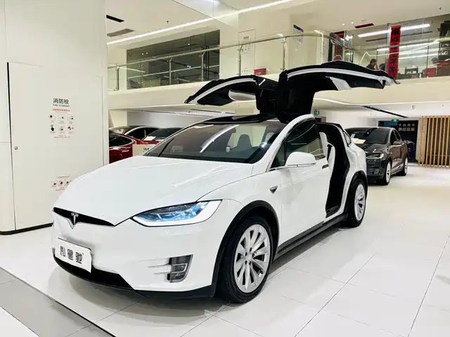 Tesla Model X 2017 Model X 100D Long Range
