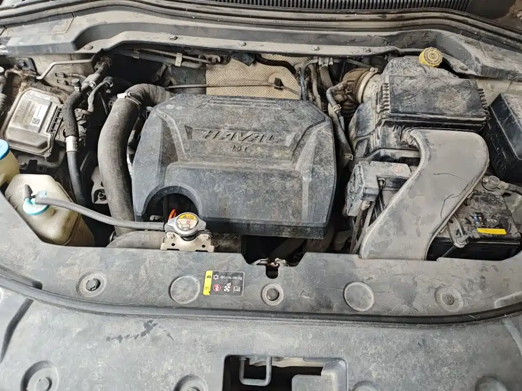 صورة 11 - Haval H2s
