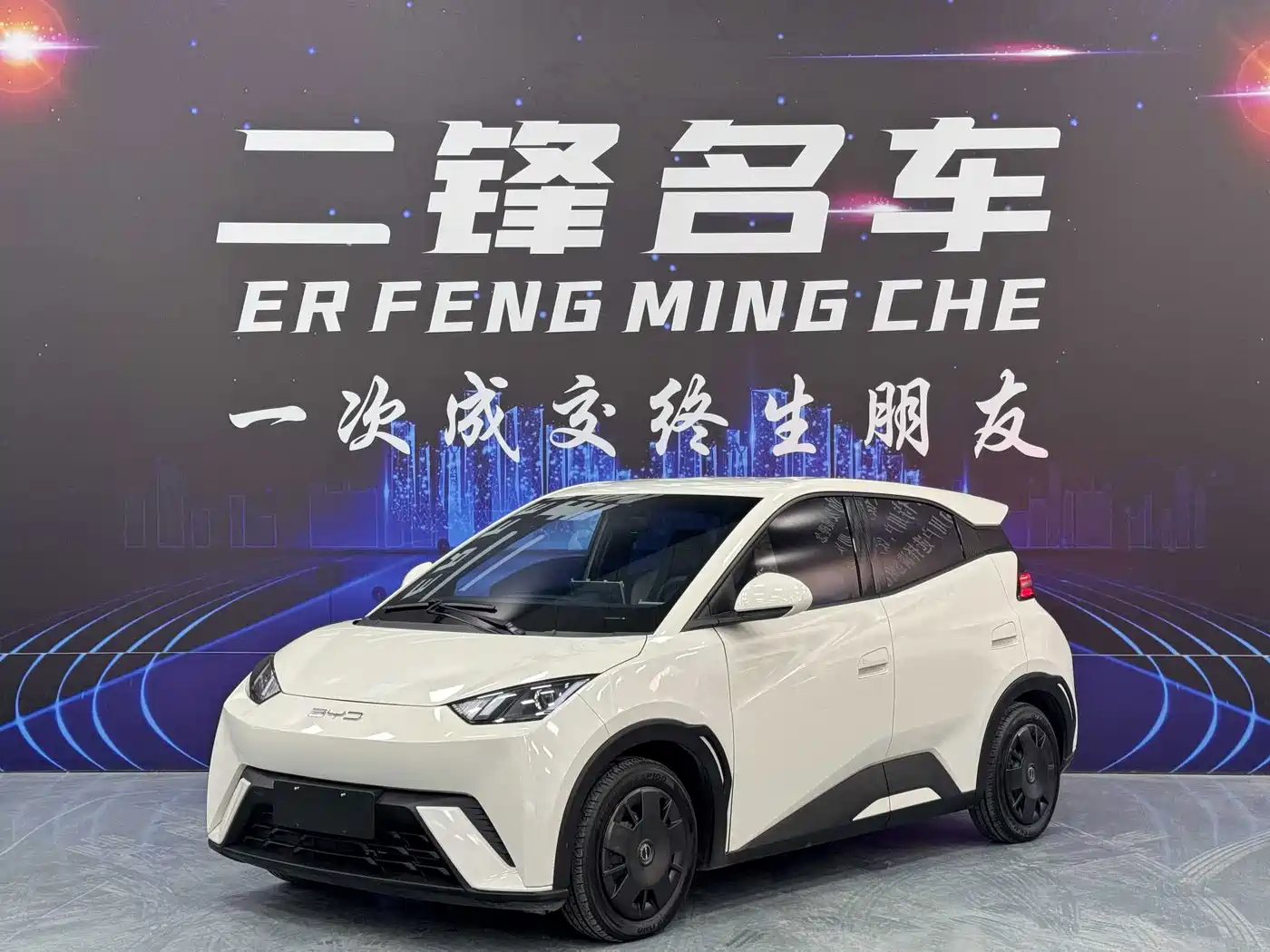BYD Seagull 2024