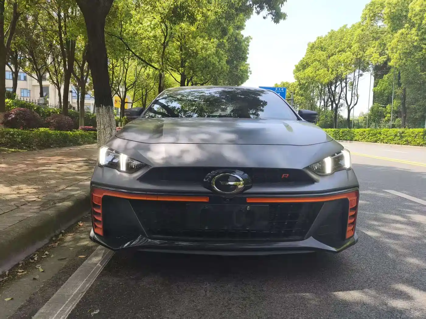 GAC TRUMPCHI SHADOW LEOPARD