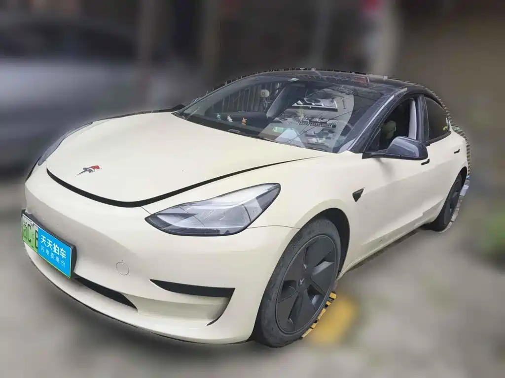Tesla Model 3 2022