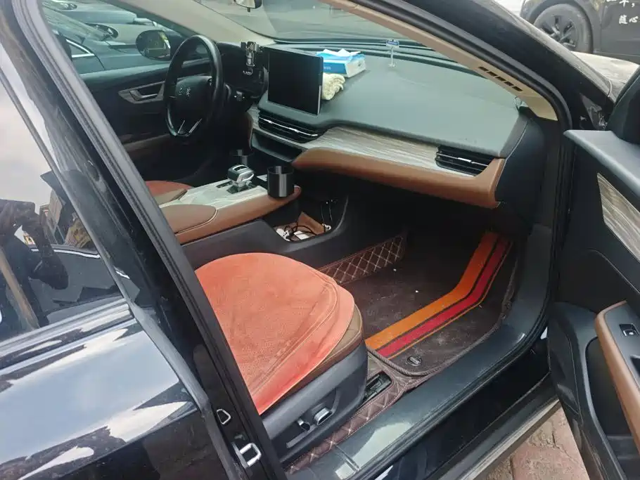 Hongqi E-QM5 2025 2024 Model 610km PLUS