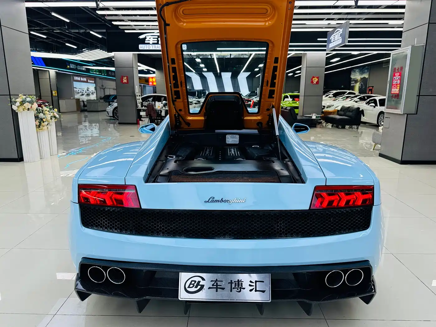 Lamborghini Gallardo 2011 LP 550-2 Tricolore фото 17