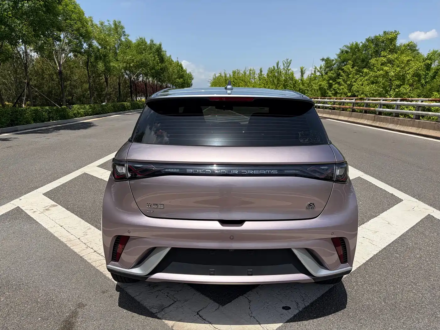 BYD Dolphin 2021 Model 405km Fashion Edition фото 8