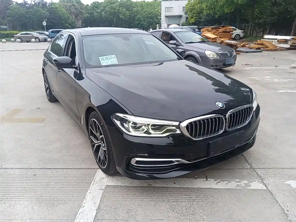 BMW 5 Series 2019 Facelift 530Li Premium Luxury Package фото 4