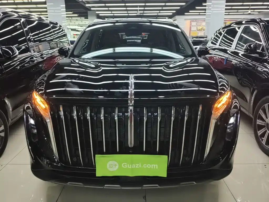 Photo 3 - Hongqi HS7 PHEV