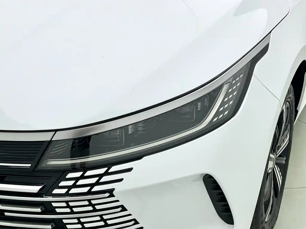 BYD Destroyer 05 2023 2023 Champion Edition DM-i 120KM Premium