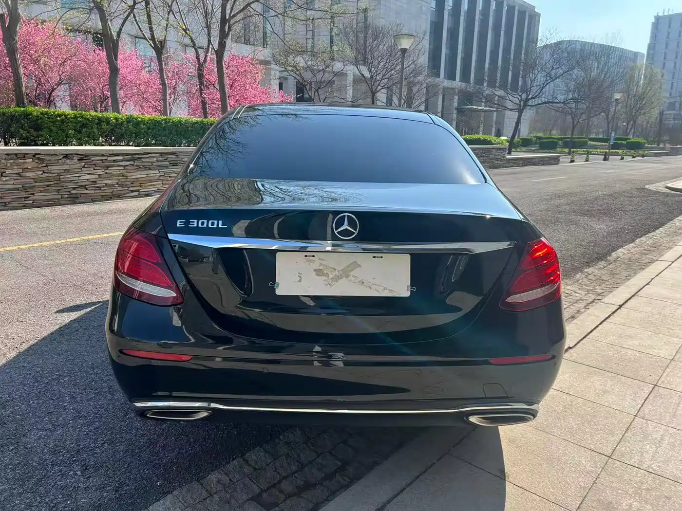 Mercedes-Benz E-Class 2019 Facelift E 300 L Luxury фото 6