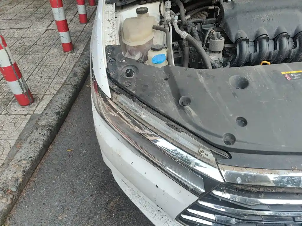 BYD Qin 2020 2019 1.5L Automatic Luxury Edition