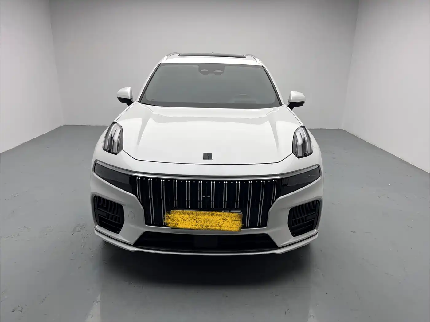 Lynk & Co 09 EM-P 2023 2.0TD EM-P AWD Asian Games Executive Edition 5-Seater фото 2