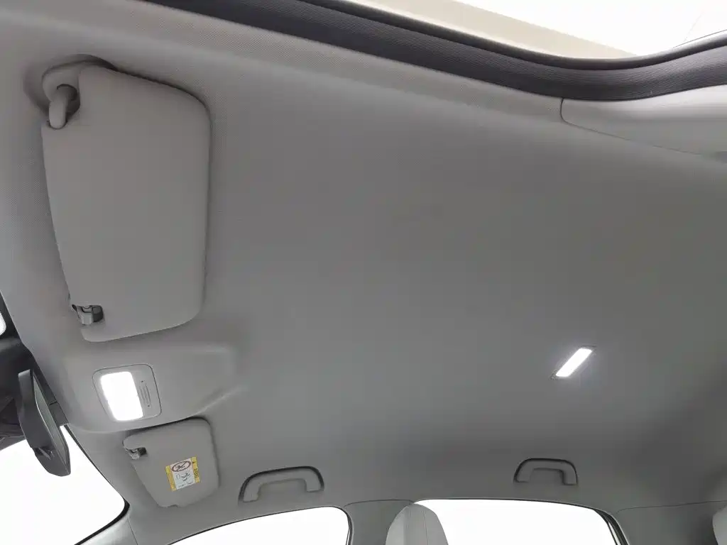 Geely Galaxy Starry Wish 2026 2026 Model 310km Dream Edition
