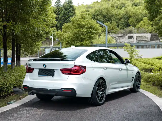 BMW 3 Series GT 2020 320i M Sport Black Night Edition — фото 4