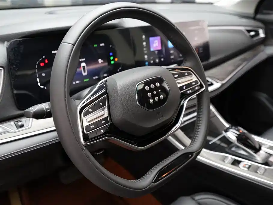 Landian E5 2024 2024 Glory Edition 100KM Comfort Type 7-Seater