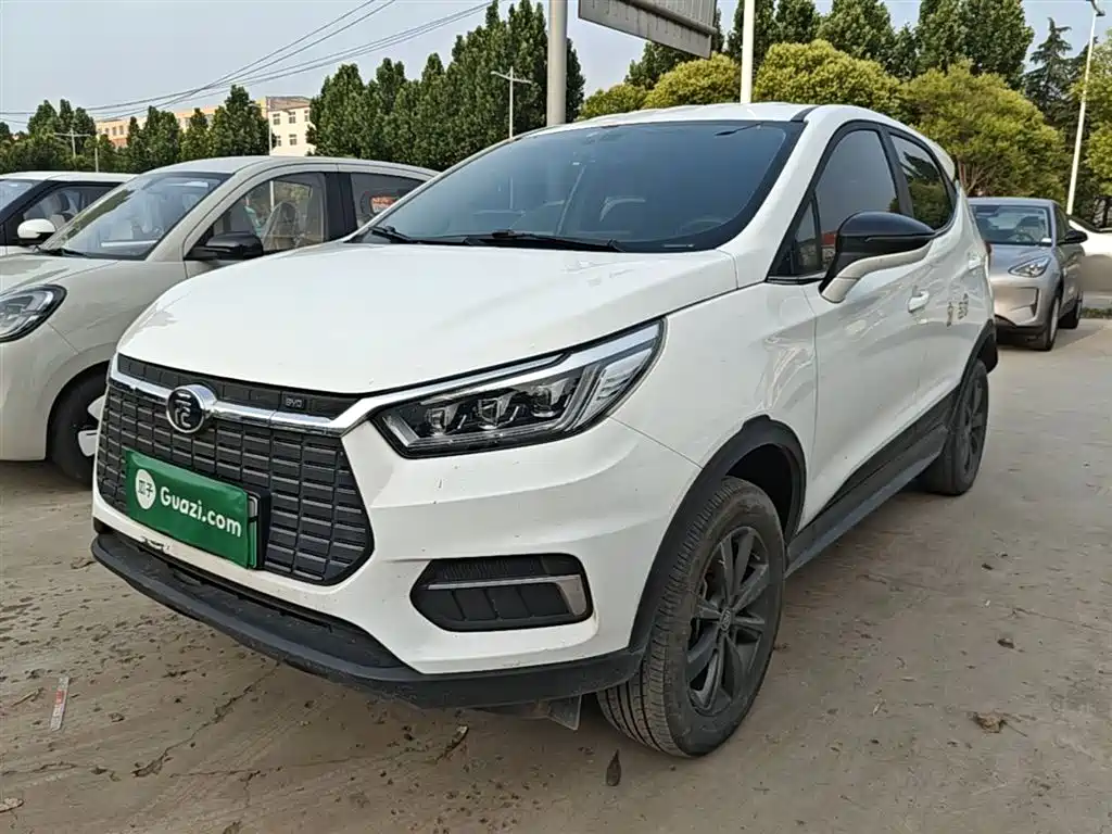 BYD Yuan New Energy 2019 EV535 Smart Connected Trend Leader Type