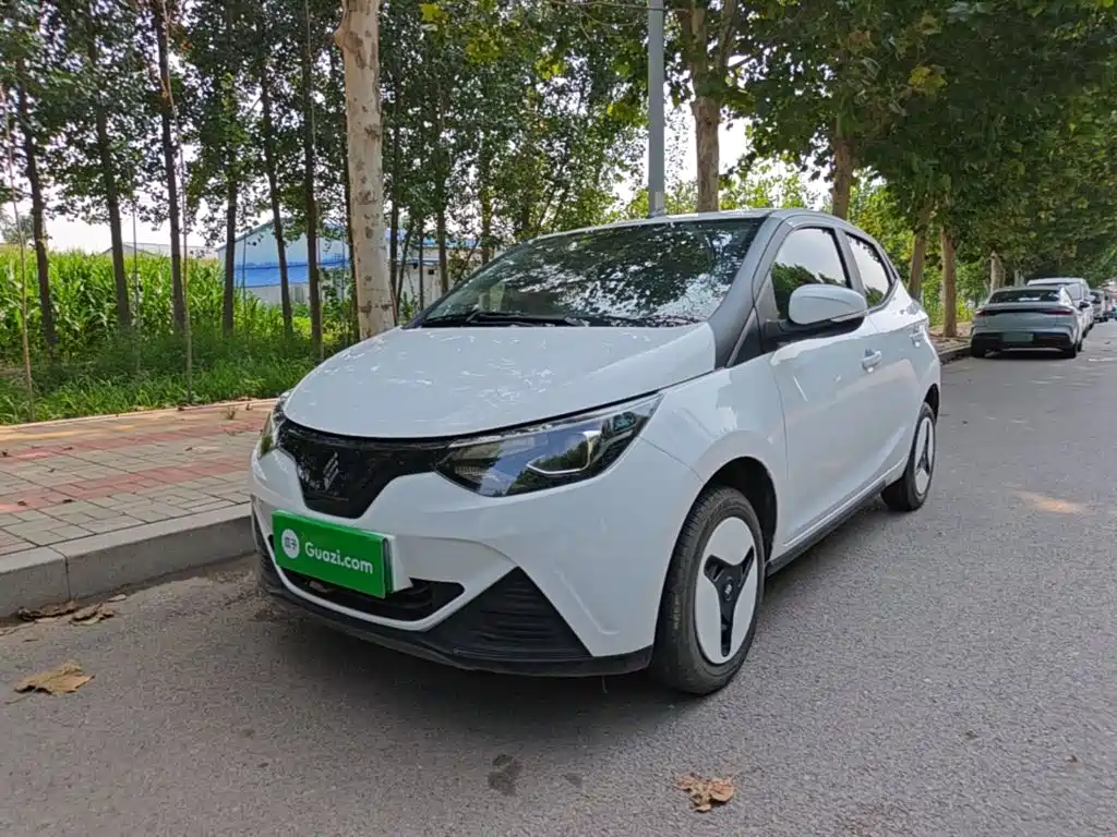 JMCG New Energy Little Kirin 2025 2024 201km Comfort Model
