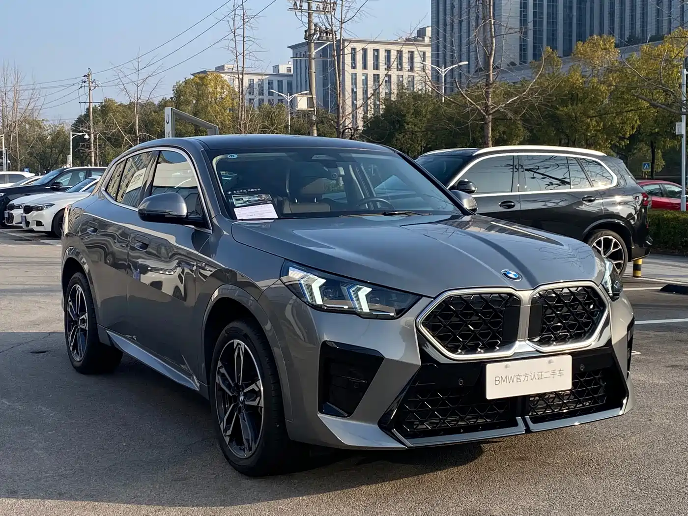 BMW X2 (Import) 2024 sDrive25i M Sport Package фото 3