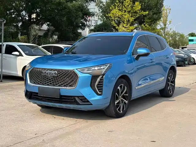  Haval Haval First Love 2021 1.5T Automatic Premium Edition