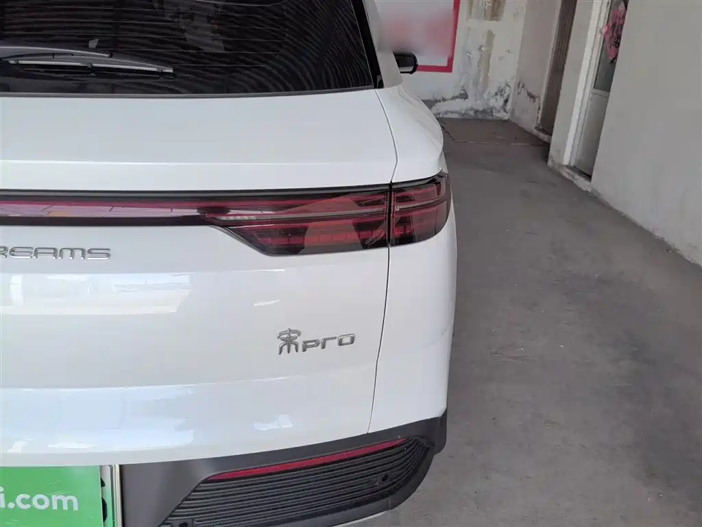 BYD Song Pro New Energy 2023 Champion Edition DM-i 71KM Pilot Model фото 23