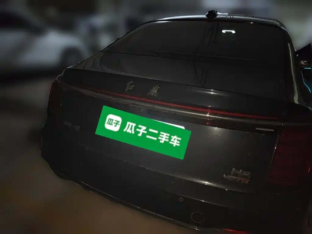 Фото 3 - Hongqi H9