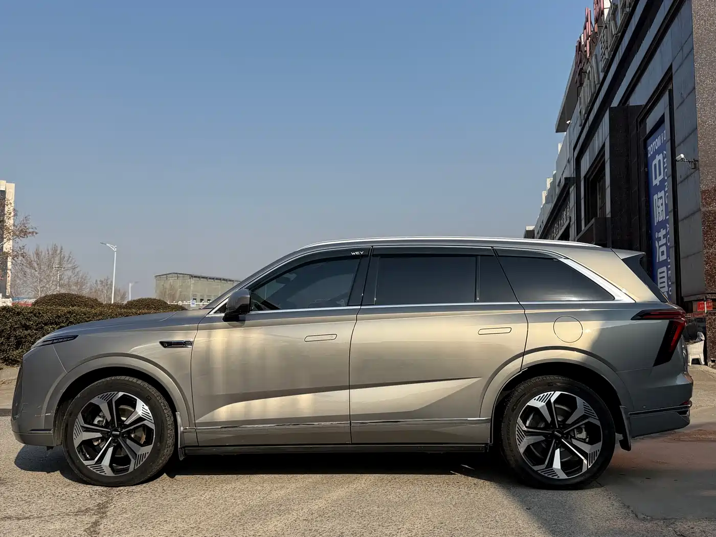 WEI PAI WEI BRAND BLUE MOUNTAIN