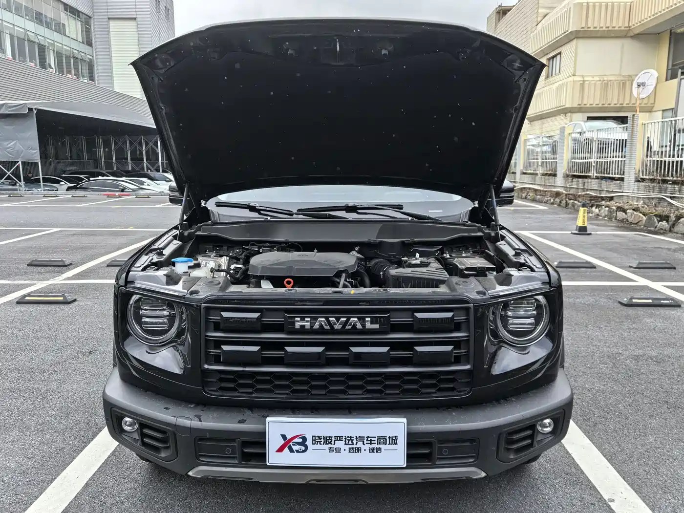 Haval Big Dog 2025 2026 2.0T Standard